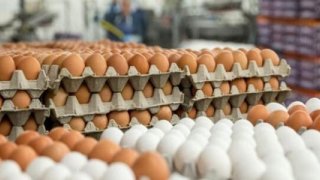 Yumurta fiyatları bu yıl Mayıs Çukuru'na erken düştü